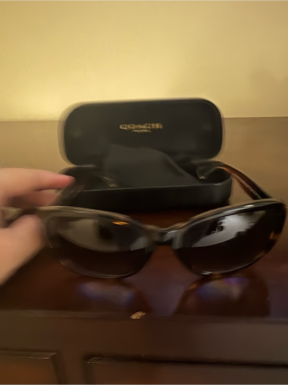 Coach Black Women's Sunglasses with Tortoiseshell Arms